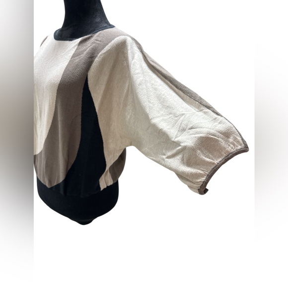 Style & Co Colorblock Batwing Sweater Large Neutral Earth Tone Dolman Knit - Picture 3 of 7